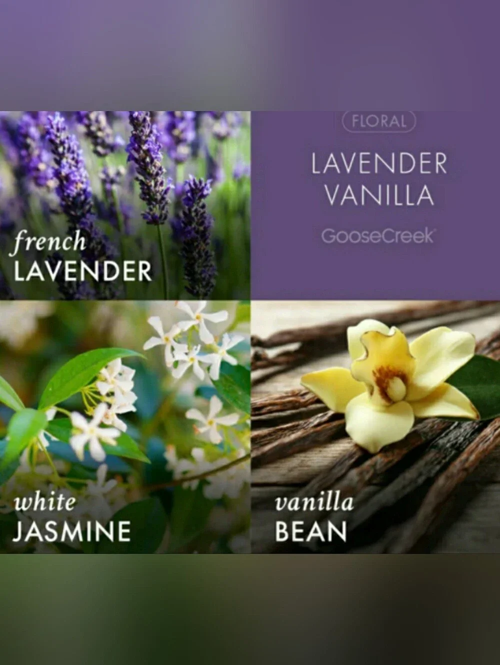 Goose Creek LAVENDER VANILLA Large 3-Wick Scented Candle, 14.5 oz
